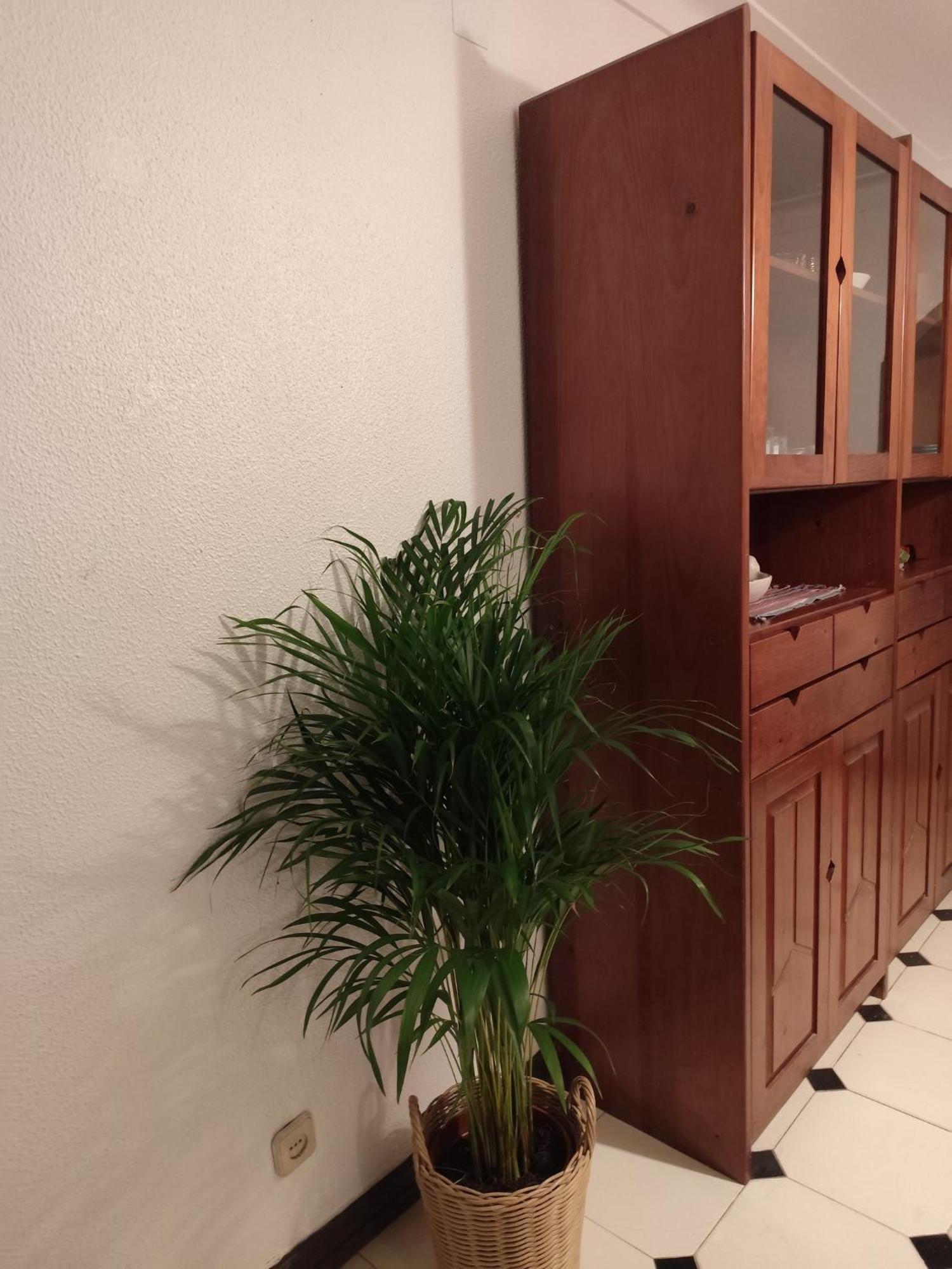 אלבופיירה Casa Das Flores מראה חיצוני תמונה